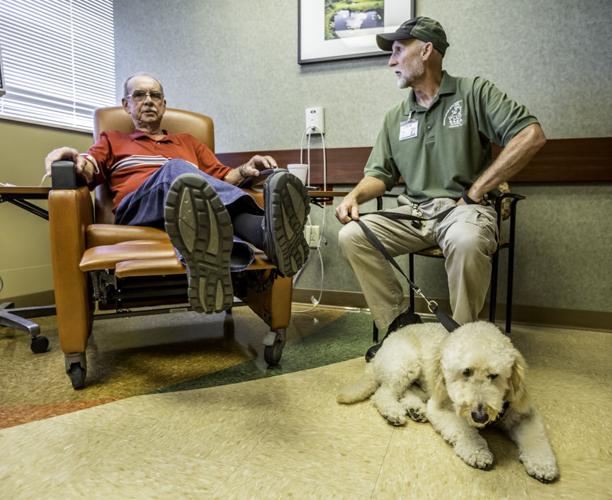 COMPANIONSHIP FROM A CANINE: Therapy dog lifts spirits at Norton Cancer  Institute in Jeffersonville | News 
