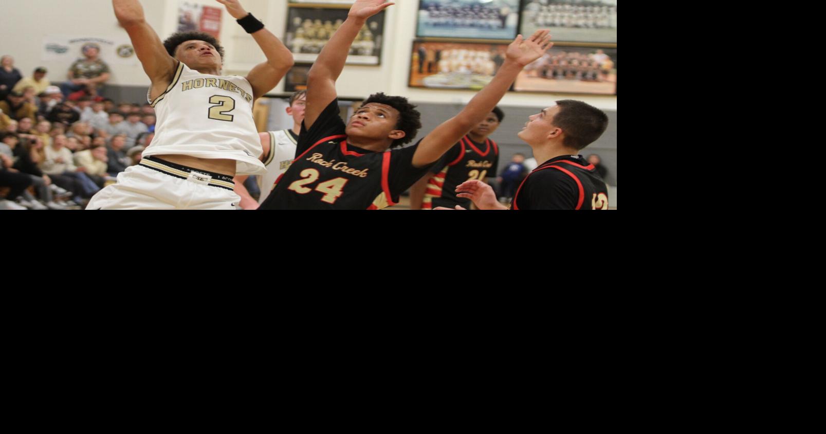 BOYS' BASKETBALL ROUNDUP: Hornets sting Lions in opener | Sports ...