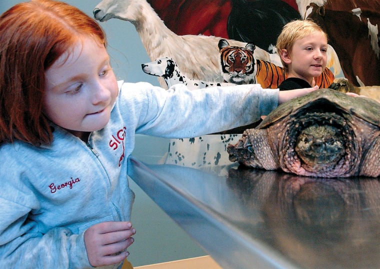 veterinary doctor for tortoise near me