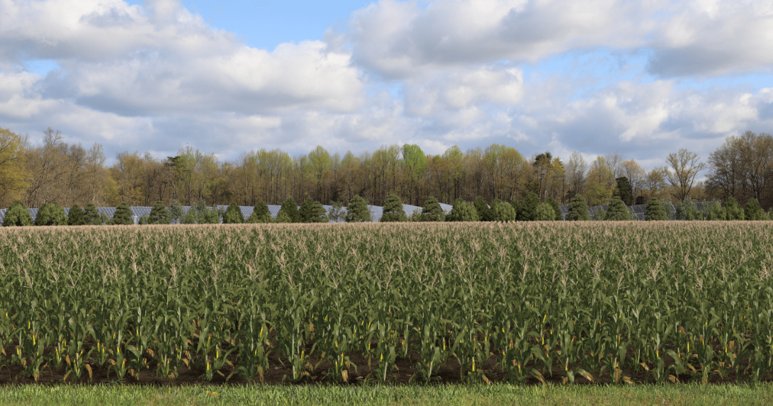 Orion submits special exception request for solar energy project in Clark County