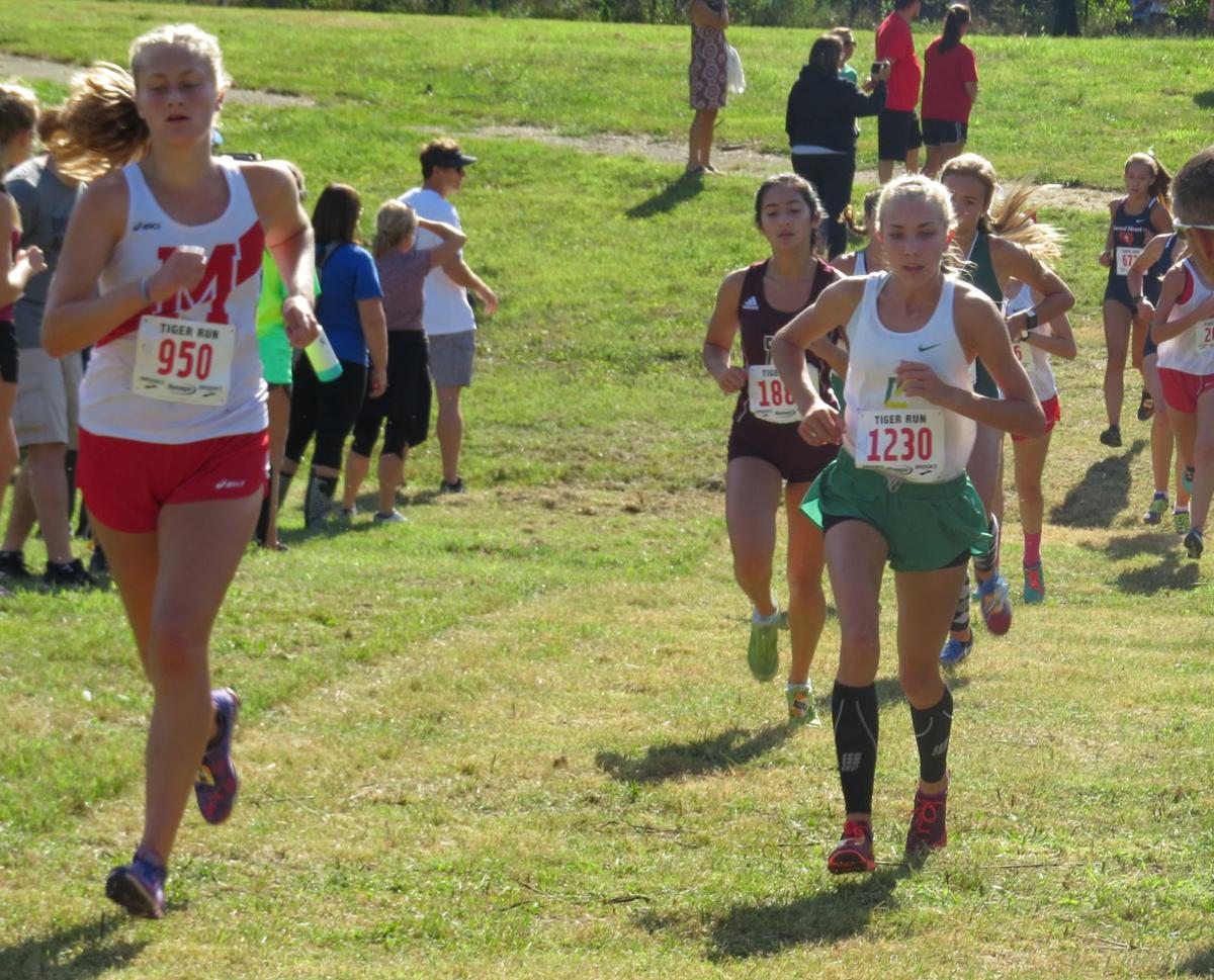 Cross Country Floyd Central Sweeps Tiger Run At Champions Park Sports Newsandtribune Com