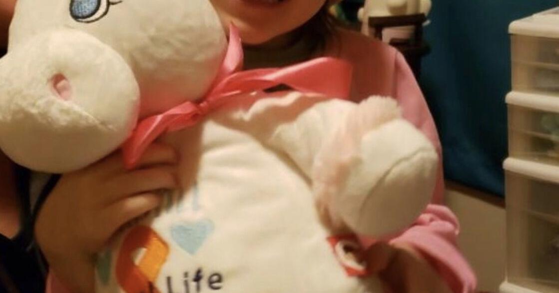 Fundraiser to support New Albany girl battling cancer - Vimarsana News