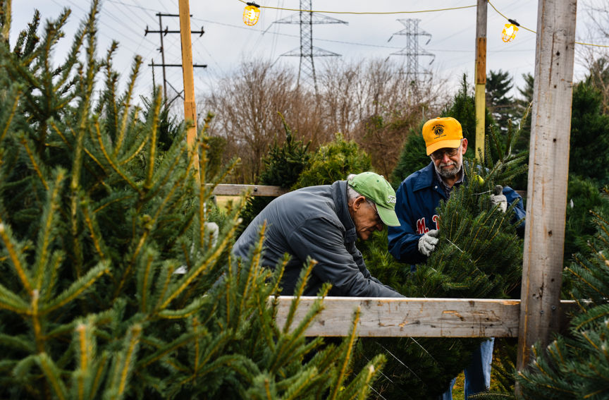 THE LION'S SHARE Lion's Club sells trees for 71st year Floyd County