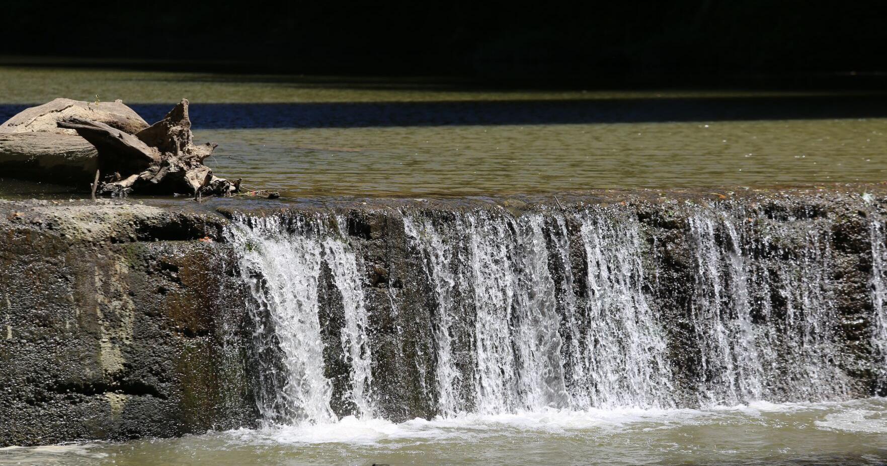 New website calls for removal of Silver Creek dam - Vimarsana News