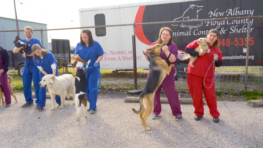 Music video highlights New Albany Floyd County Animal Shelter | News |  