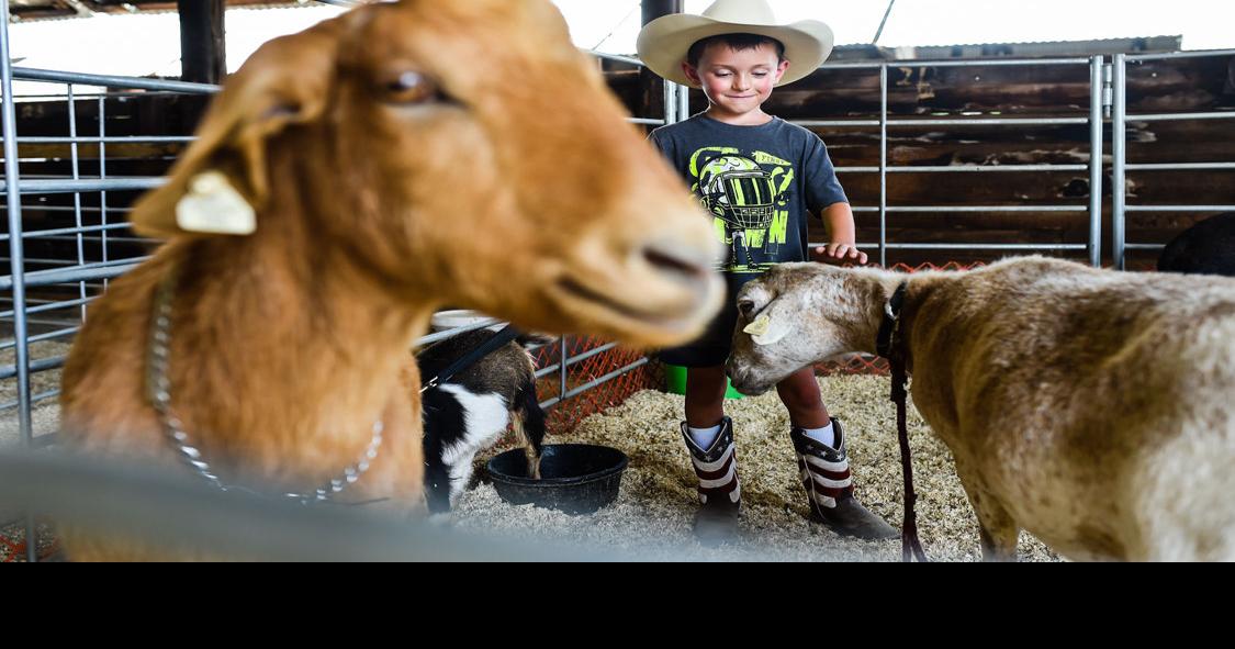 Floyd County 4H Fair to return this week News
