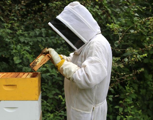 Bee-Coming a Beekeeper - New Hampshire Home Magazine
