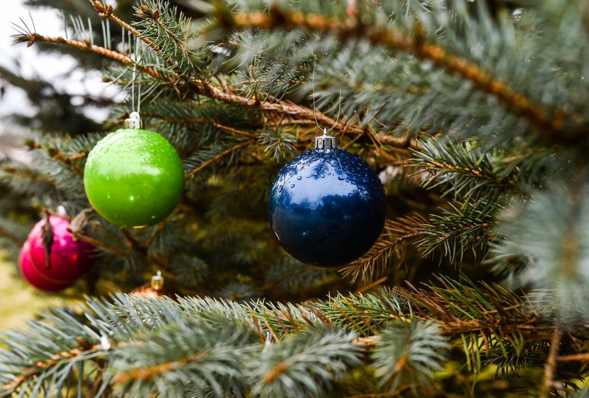 Christmas Remembrance Tree Idea Is Touching Hearts Around The Globe News Newsandtribune Com