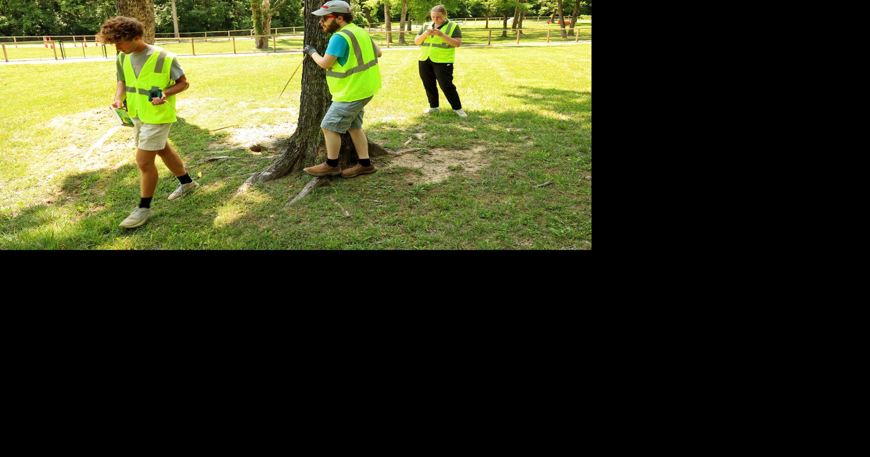 Tree study is underway in Charlestown | News | newsandtribune.com