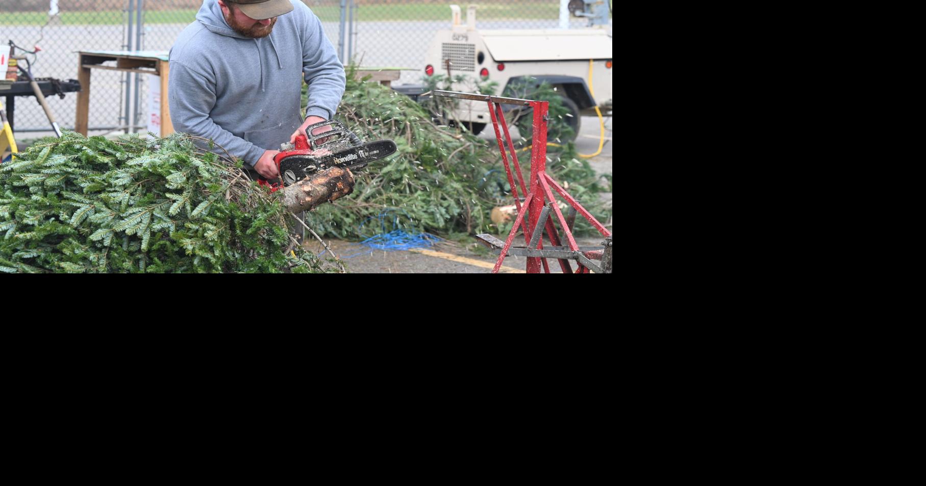 Martin's Christmas Tree Lot celebrates 54 years in Jeffersonville