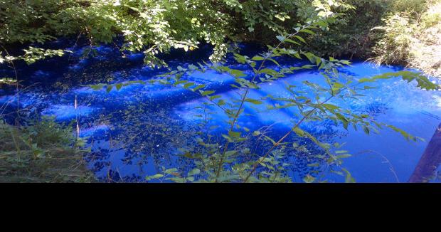 New Albany creek turns blue after illicit ink discharge ...