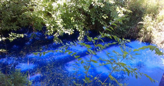 New Albany creek turns blue after illicit ink discharge ...