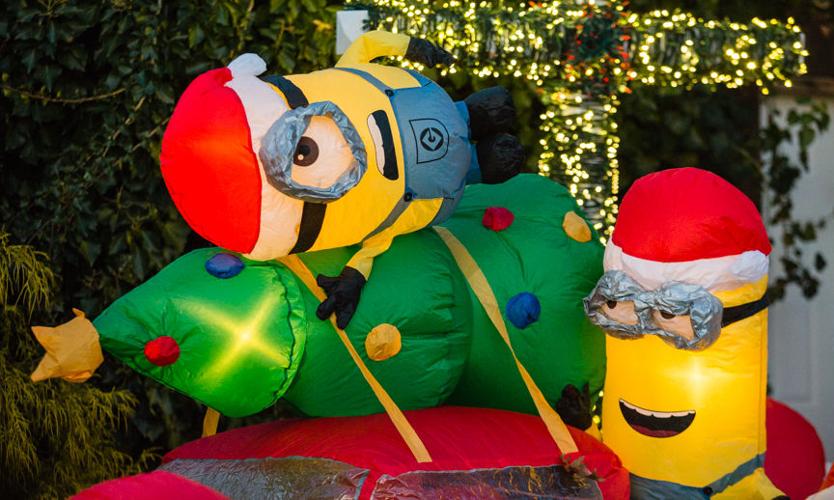 mischief wheat Advertisement Minion Christmas display goes viral — here's why the New Albany homeowner  did it | News | newsandtribune.com