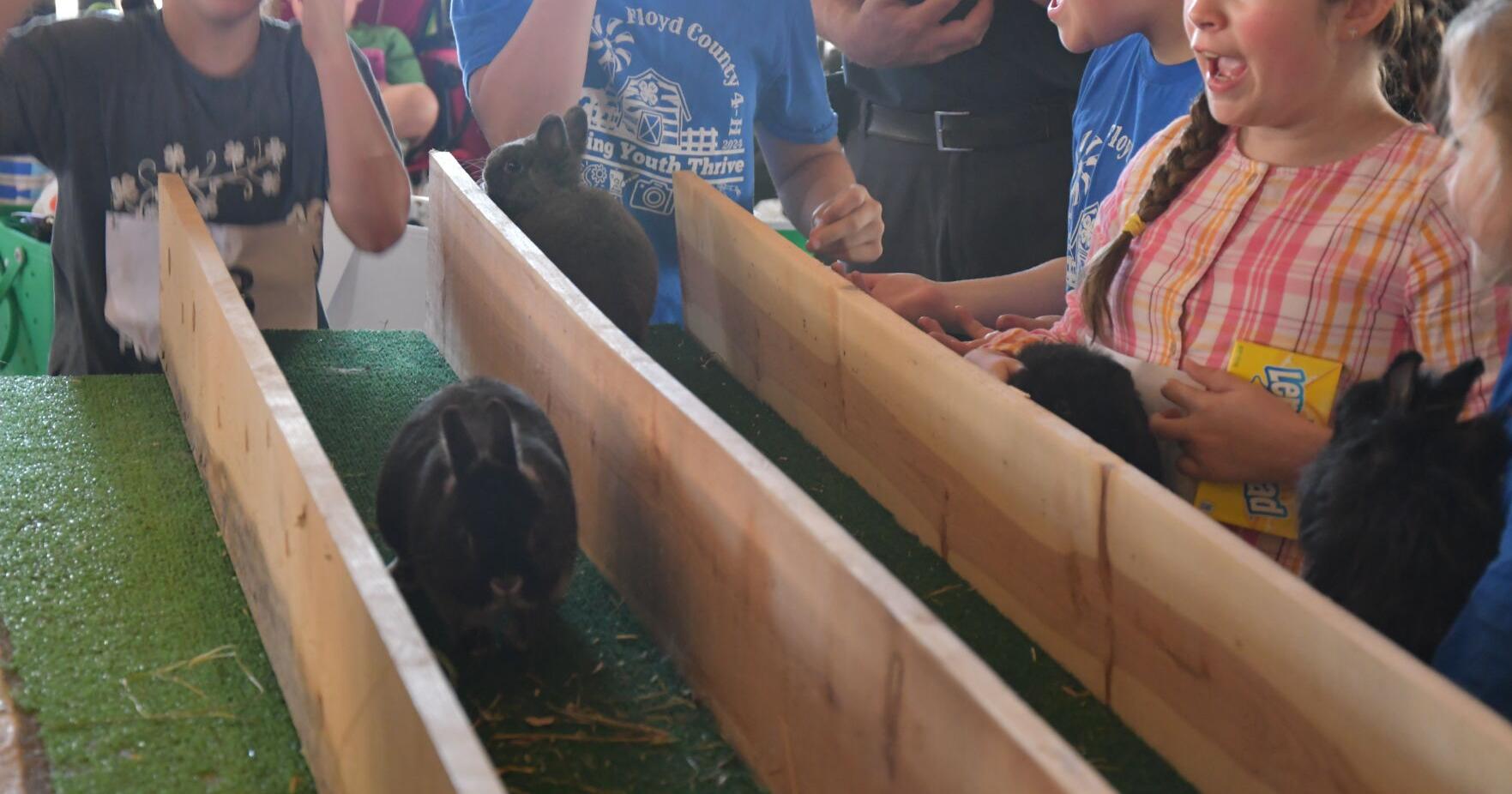 Floyd County Fair continues with second day - Vimarsana News
