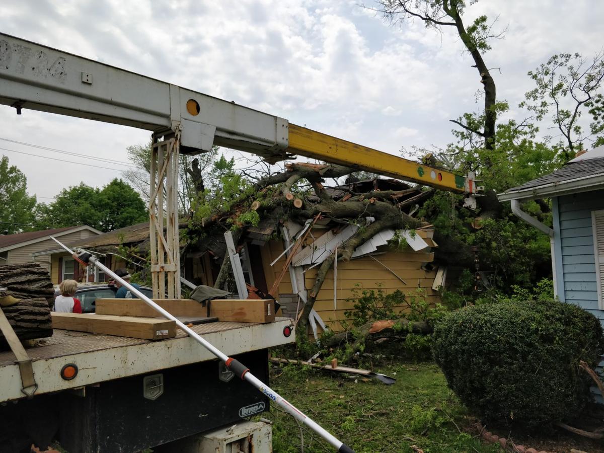 No Injuries After 100 Foot Tree Falls On Two Jeffersonville Homes