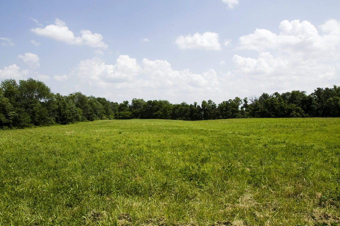 A Park For All Ages: New Albany Little League will finally get new home, Floyd County