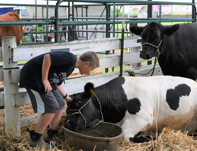 Clark County youth show off animals at county fair | News | Clark County youth show off animals at county fair | News |