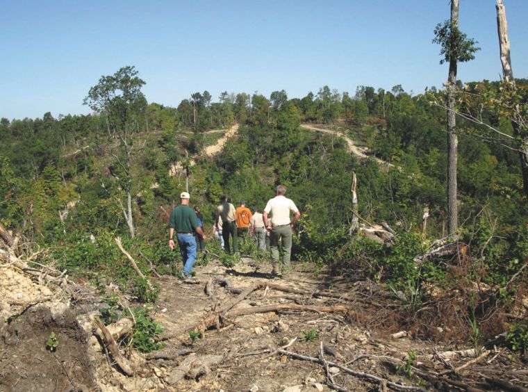 Back in stride along the Knobstone Trail | News | newsandtribune.com