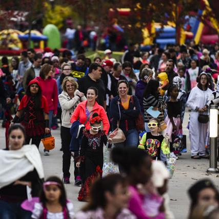 Halloween Events - Vimarsana News