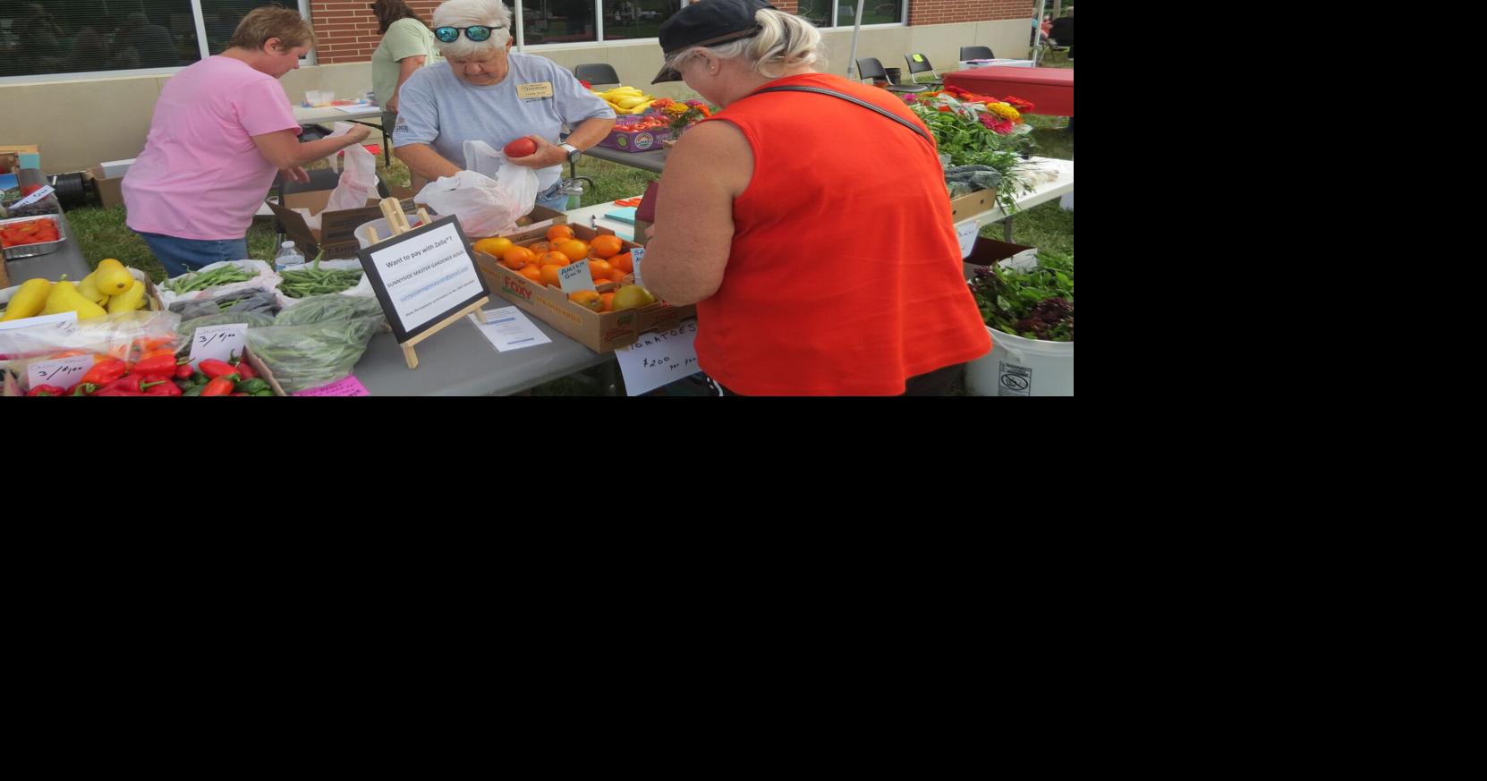Tomato festival to return in August