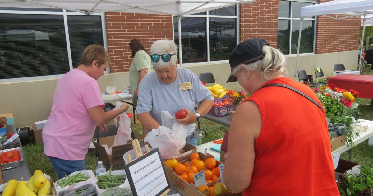 Tomato festival to return in August