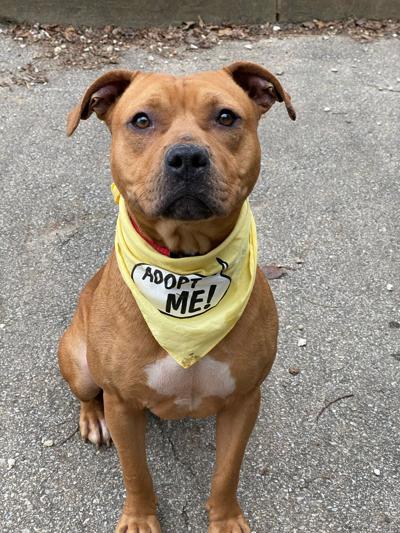 Pet of the Week: Margo
