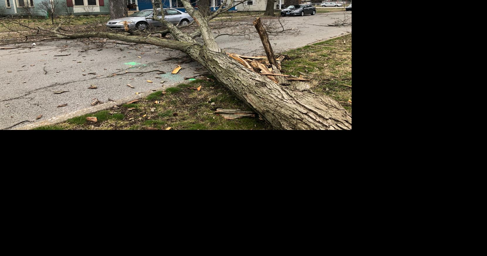 High winds cause damage, power outages in Southern Indiana | News ...