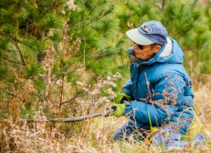 For six decades, the McCullerses have been selling Christmas trees in  Hillsborough