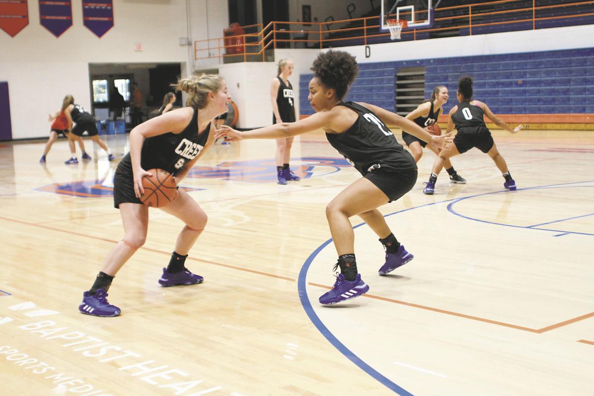 Girls Basketball Preview Dragons Enter Season With Lofty Goals