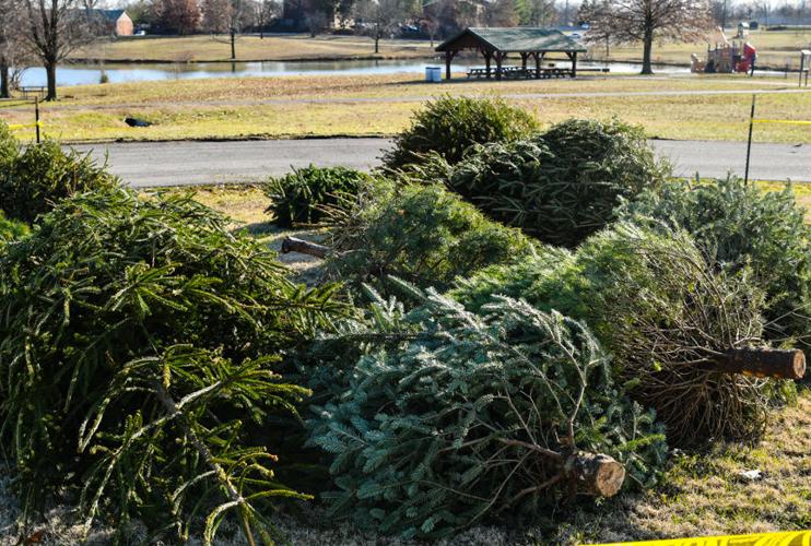 Christmas Tree Disposal Scheduled In Riverbank - Riverbank News