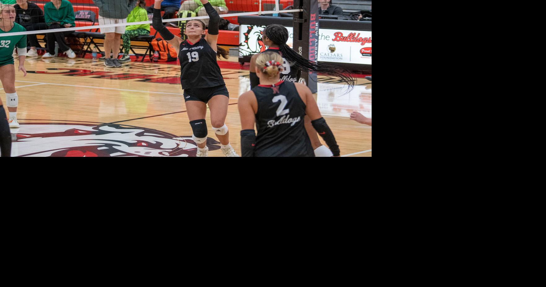 GIRLS' HIGH SCHOOL SPORTS: Five who made their mark