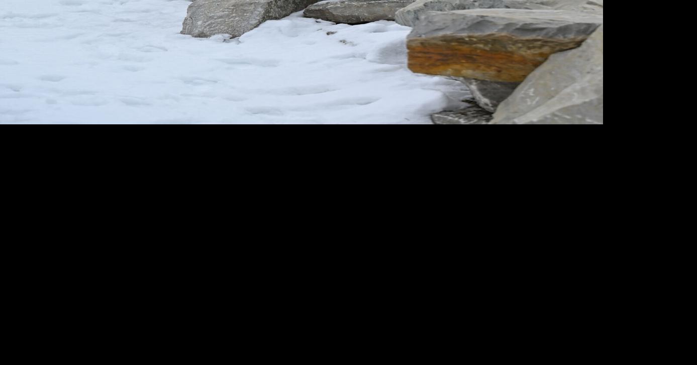 A team sport built on manners: Inside the partn…