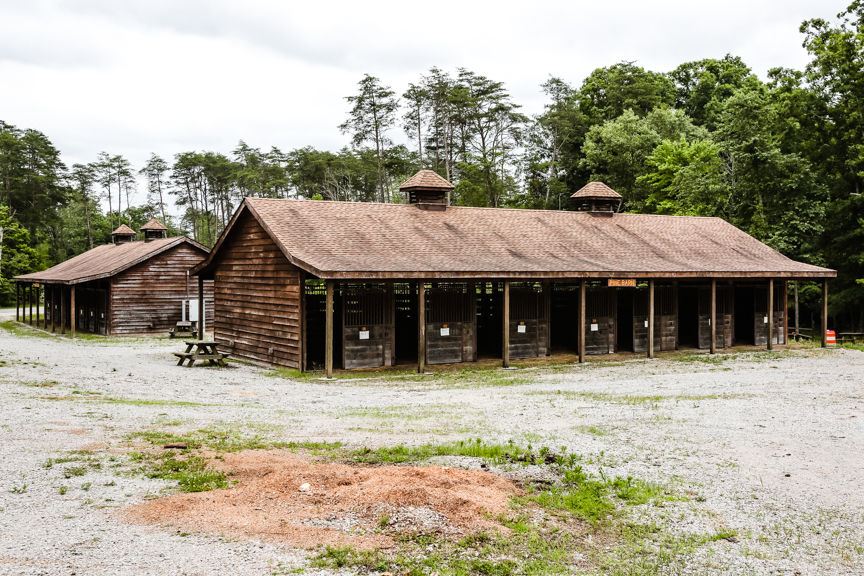 Deam lake 2025 horse camp