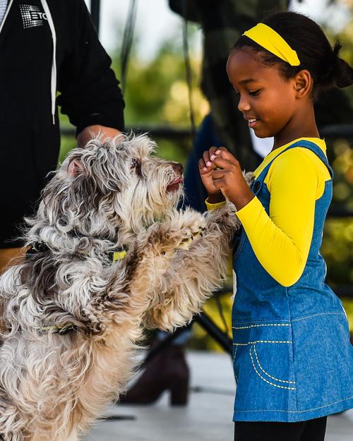 Dog Contest-2.jpg