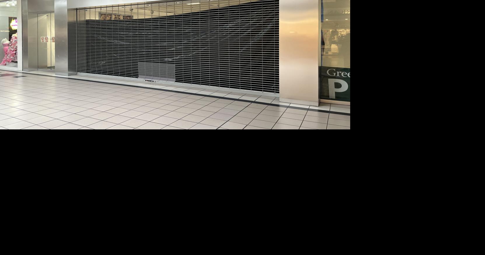 Puppygram criticism continues at Clarksville council meeting | News