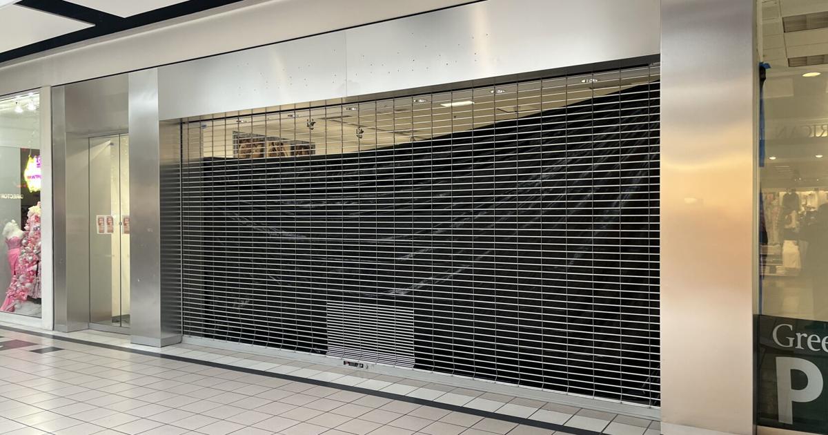 Puppygram criticism continues at Clarksville council meeting | News Puppygram criticism continues at Clarksville council meeting | News