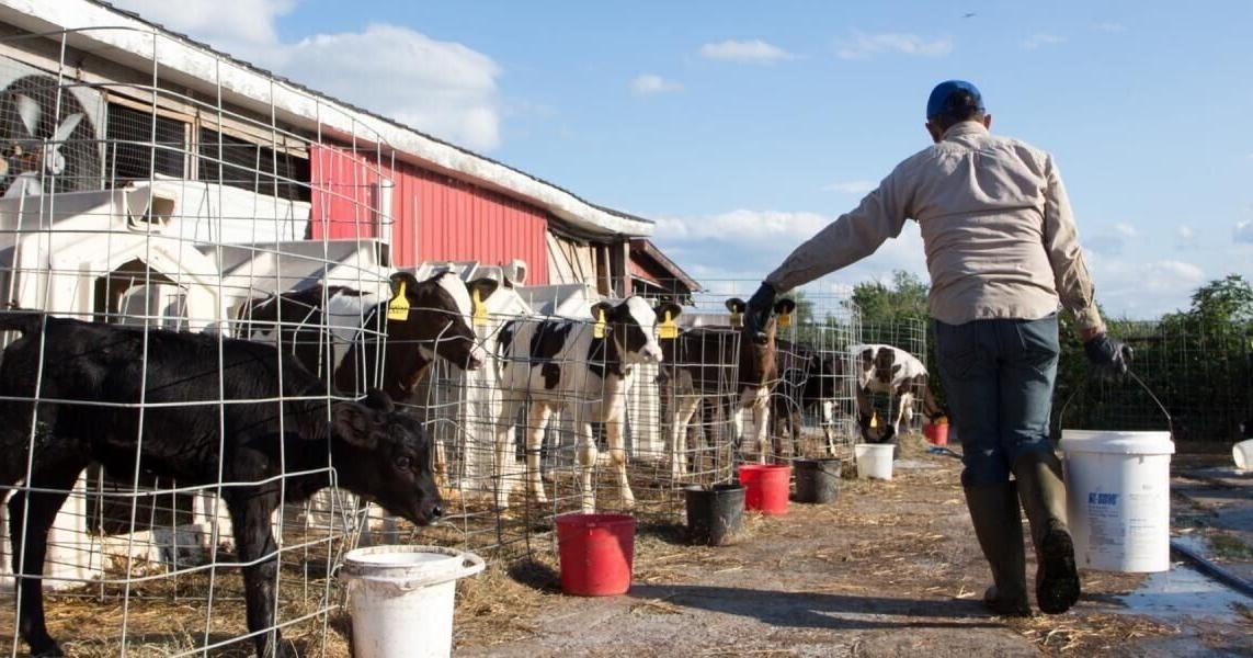 Indiana businesses: ICE raids, immigration enfo…