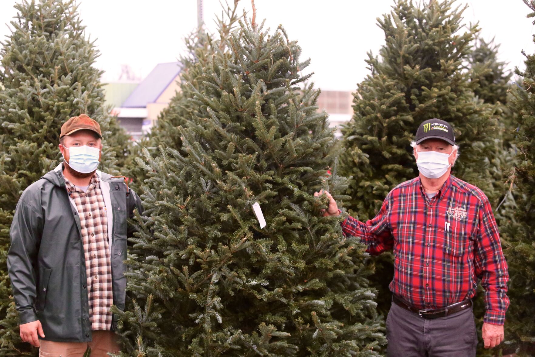 Martin s Christmas Trees back for 52nd year in Southern Indiana