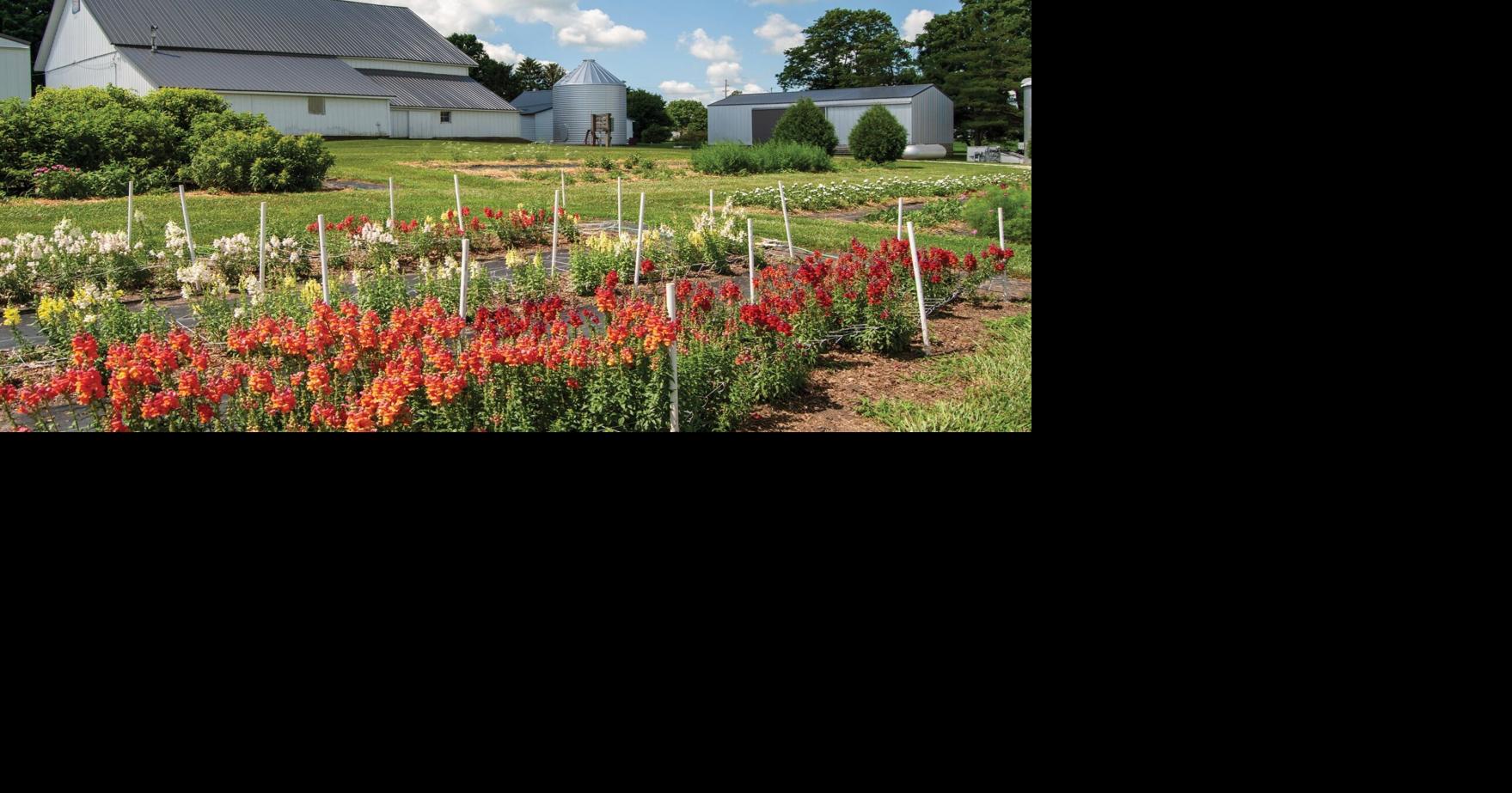 Historic farms sought for rural preservation award