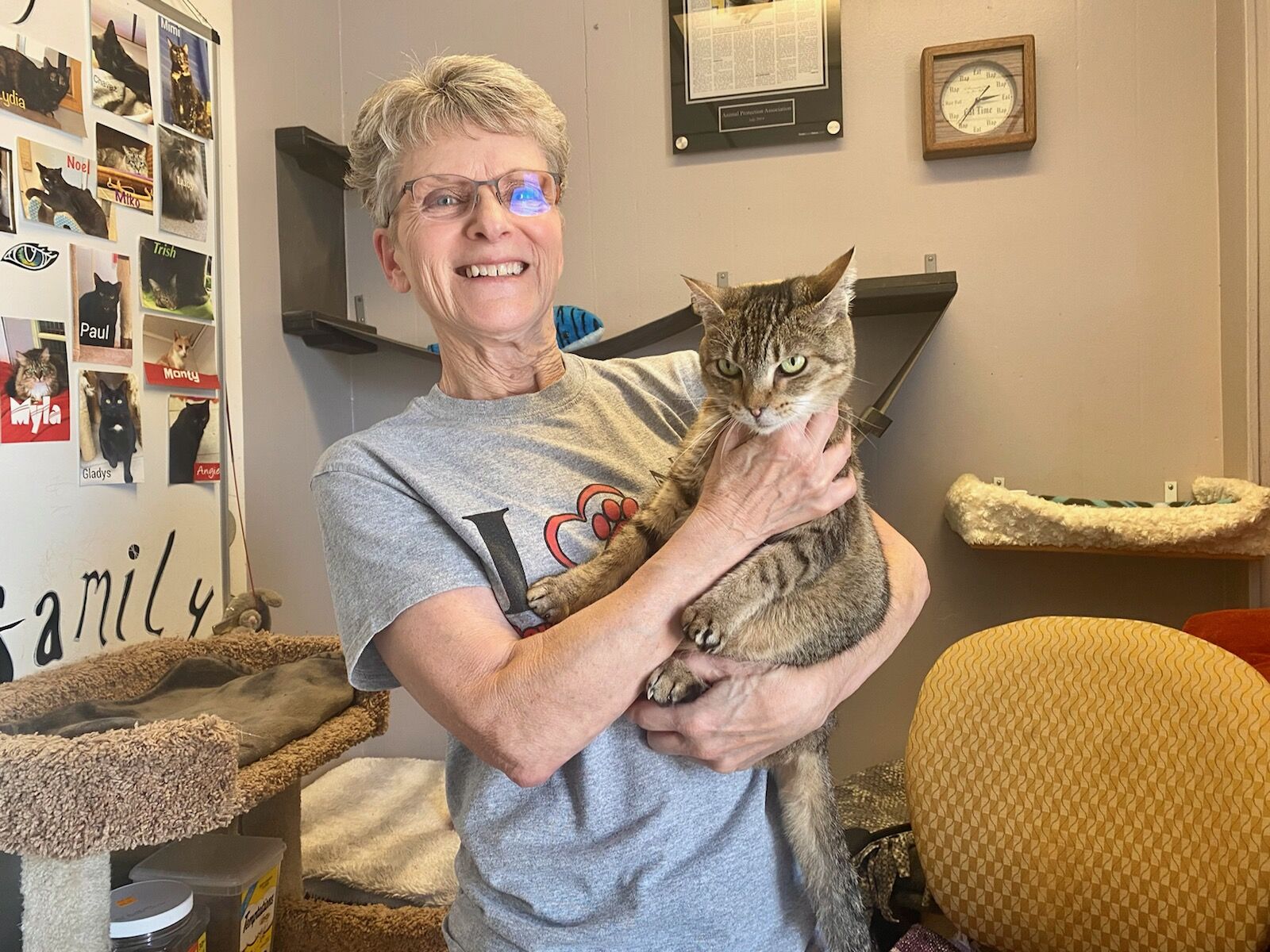 UNSUNG HEROES: Ehringer a constant presence for APA, cats in need