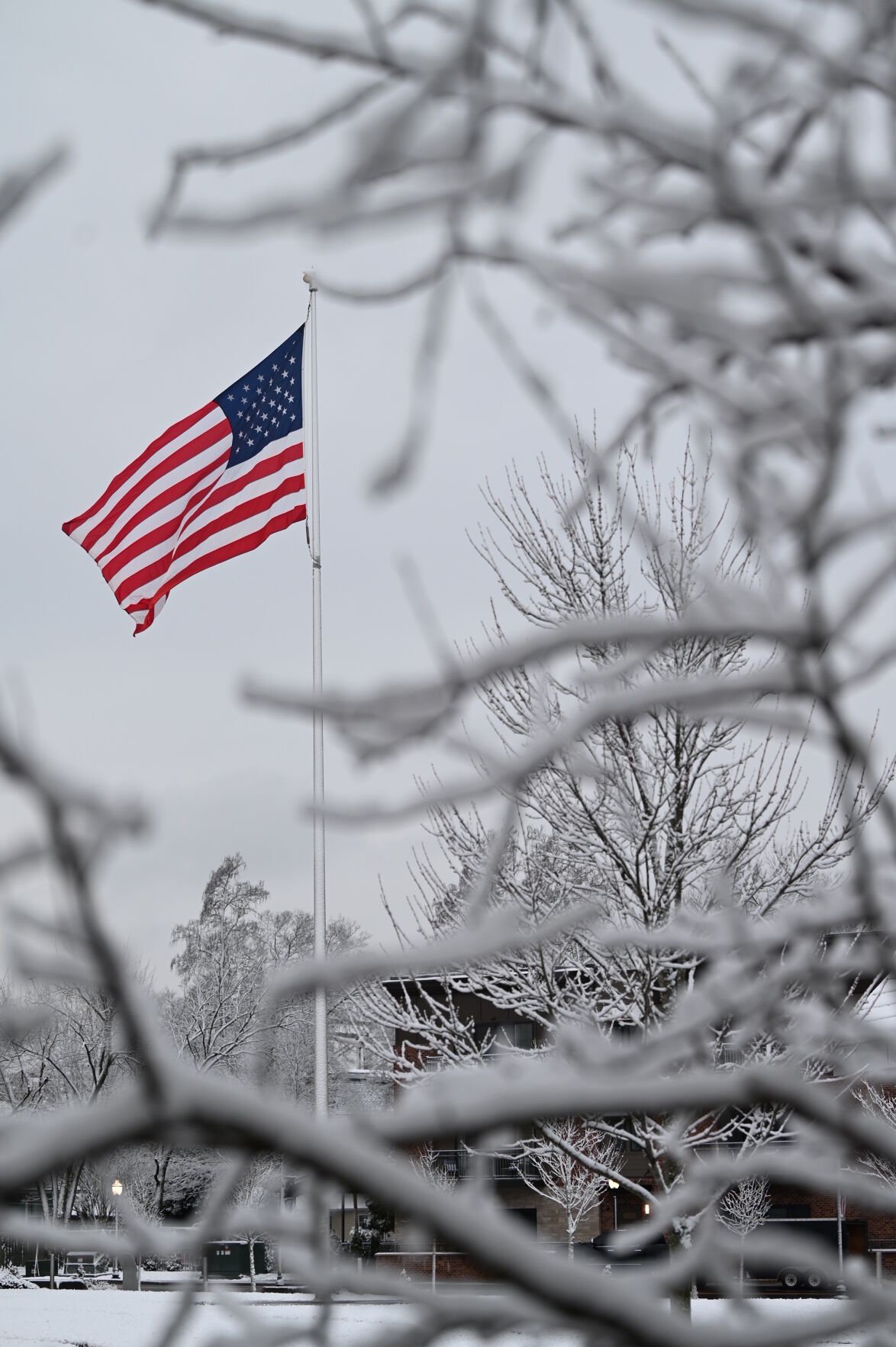 snow 1