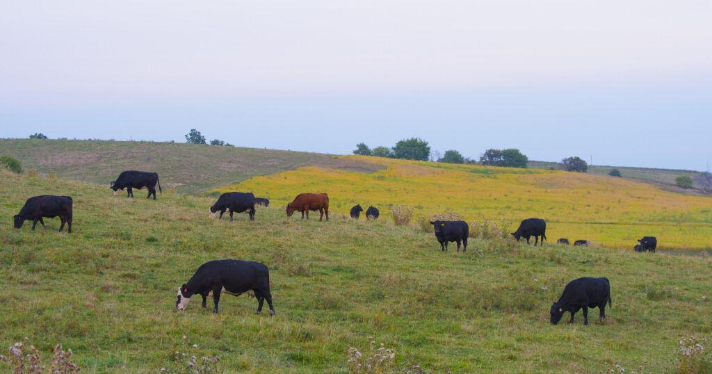 USDA's climate grants for farms and forests run into Republican buzzsaw - Vimarsana News