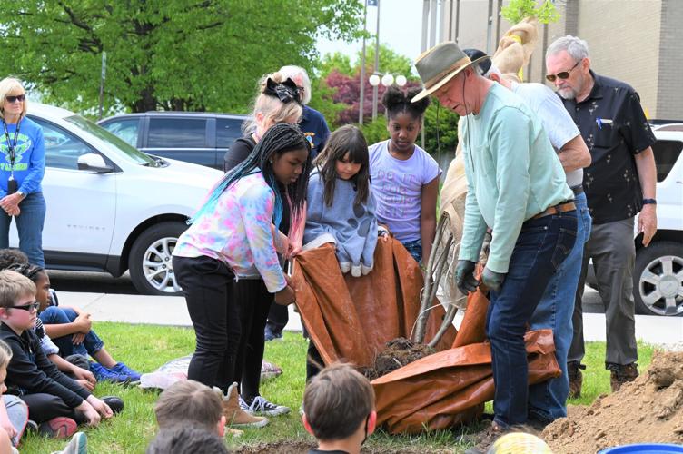 Tree Planting2