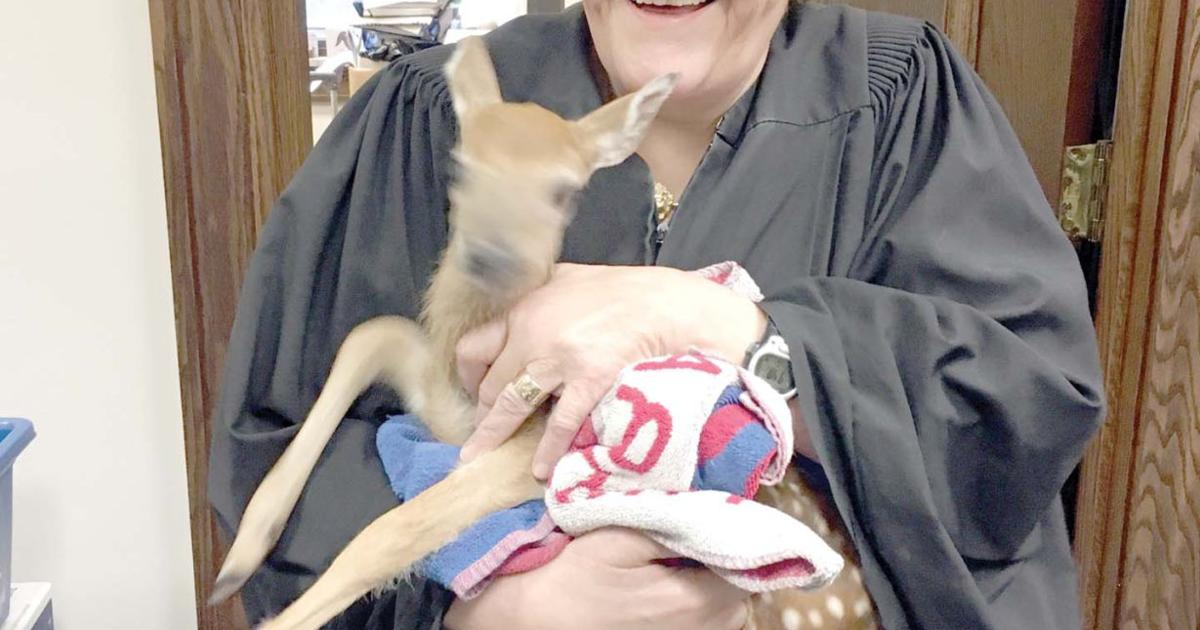 Judge Susan Sumner Tungate to retire next year | Iroquois County's ...