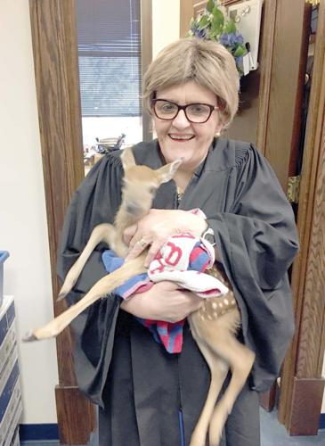 Judge Susan Sumner Tungate to retire next year | Iroquois ...