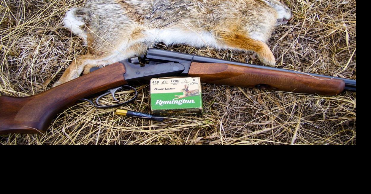 Time is Here to Hunt Rabbits | News | newsbug.info