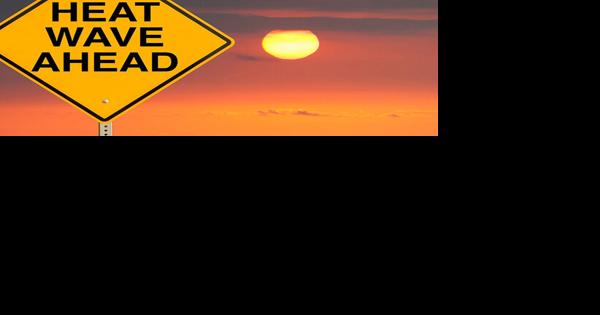 Fun in and out of the sun at JCPL branches this month - Vimarsana News