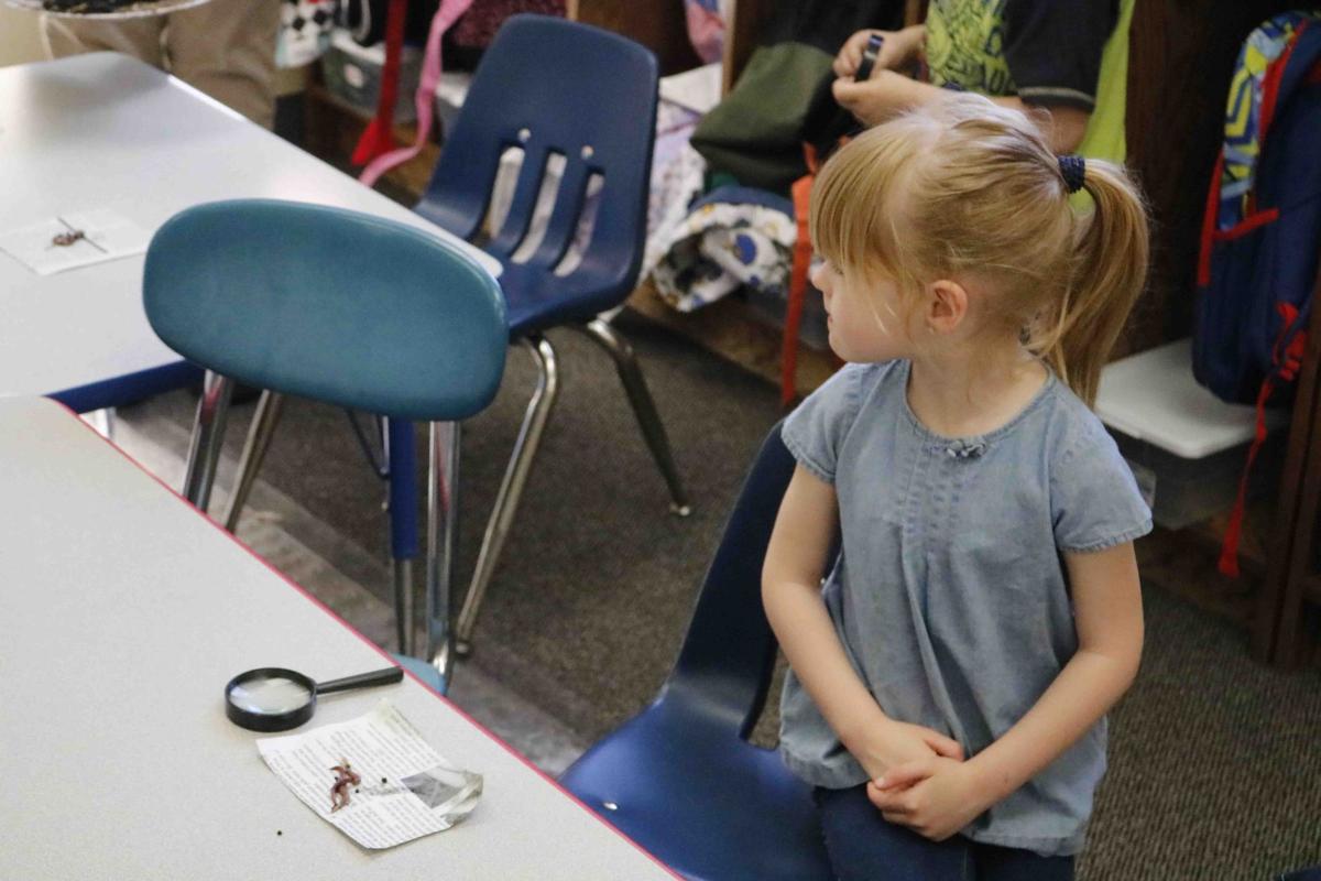 Goodland Head Start learns about worms and composting Newton County Enterprise newsbug.info