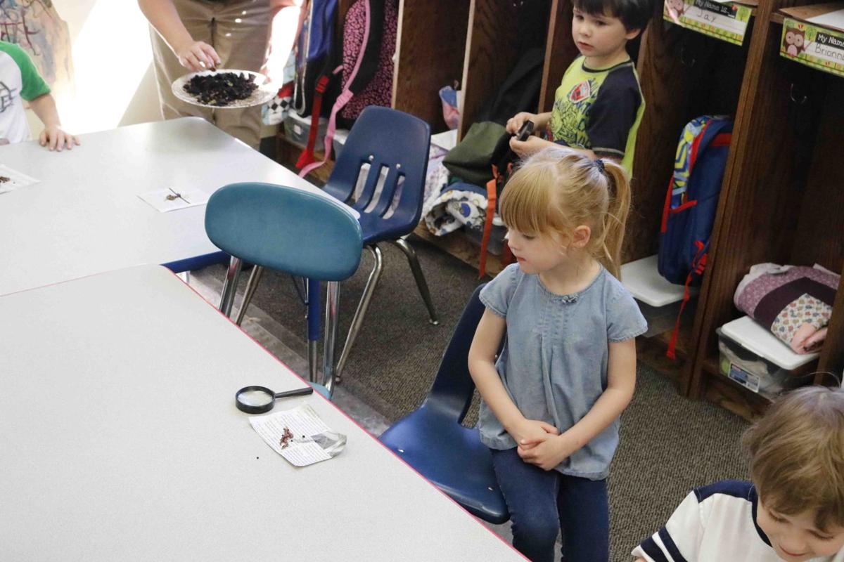 Goodland Head Start learns about worms and composting Newton County Enterprise newsbug.info