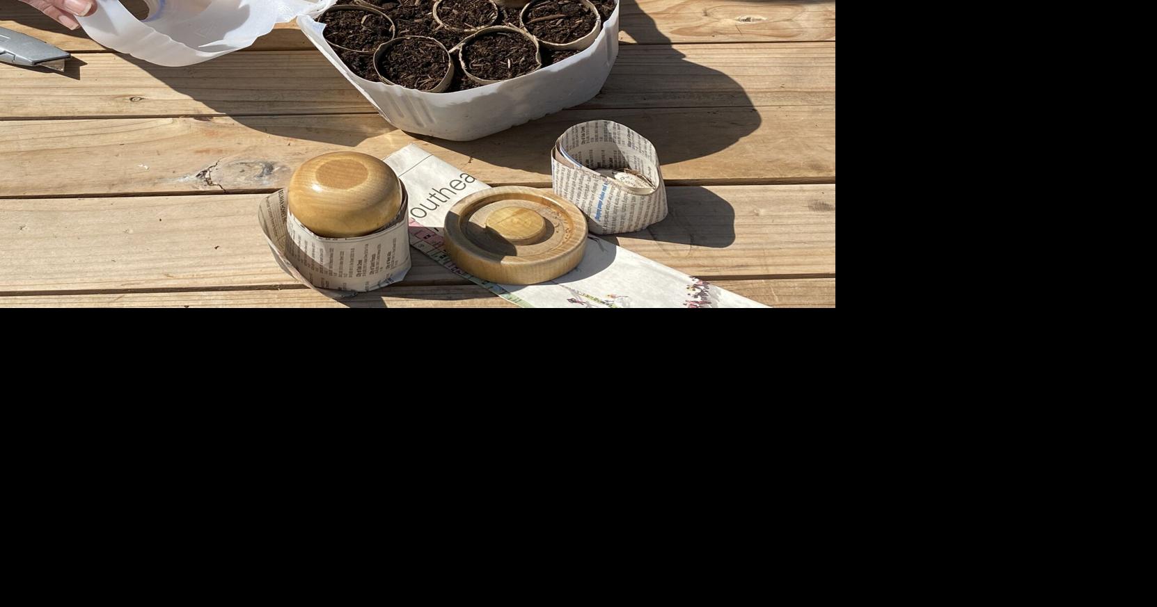 Easy and Affordable Winter Seed Starting